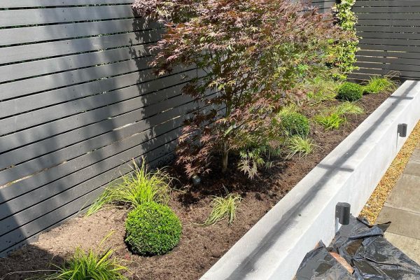 Garden Design Cheshire