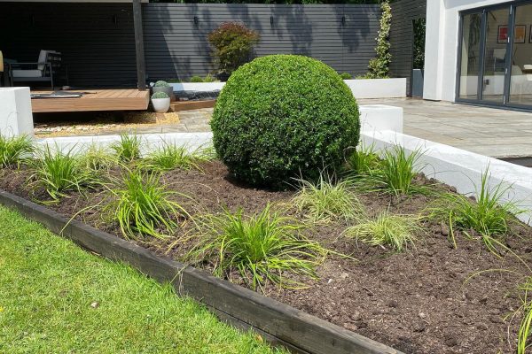 Garden Design in Cheshire