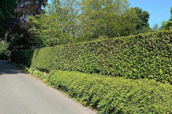 Garden Design in Knutsford