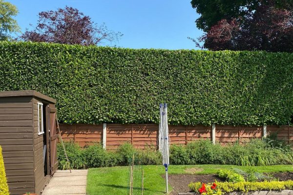 Gardeners in Knutsford