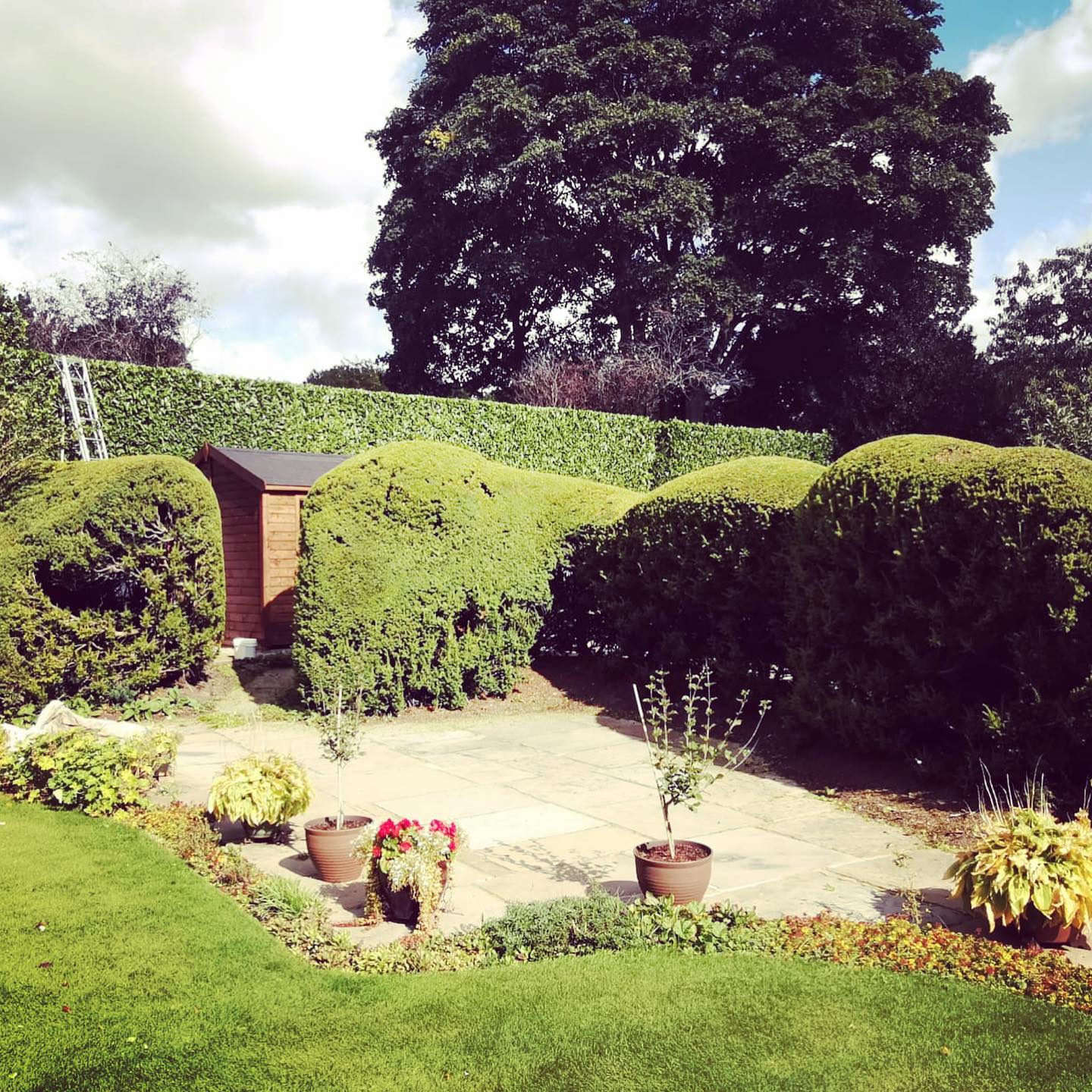 Garden Maintenance Mobberley