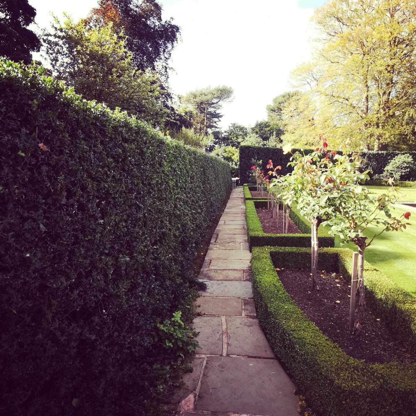 Garden Upkeep Macclesfield