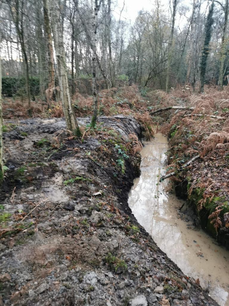 Estate Management in Chelford