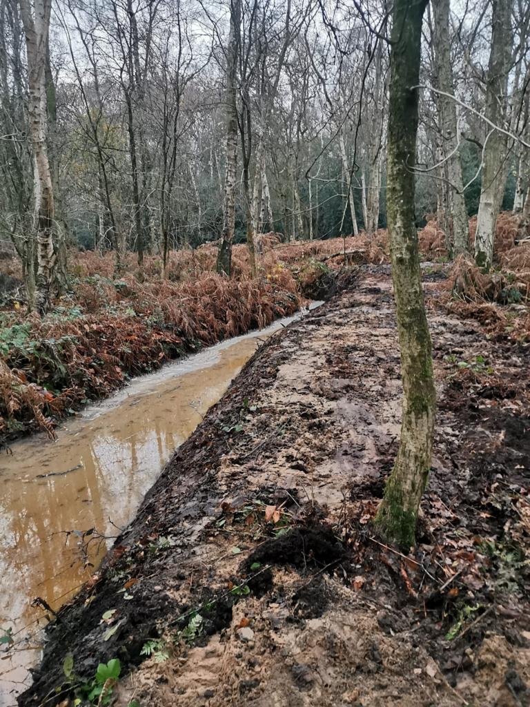 Grounds Management in Chelford