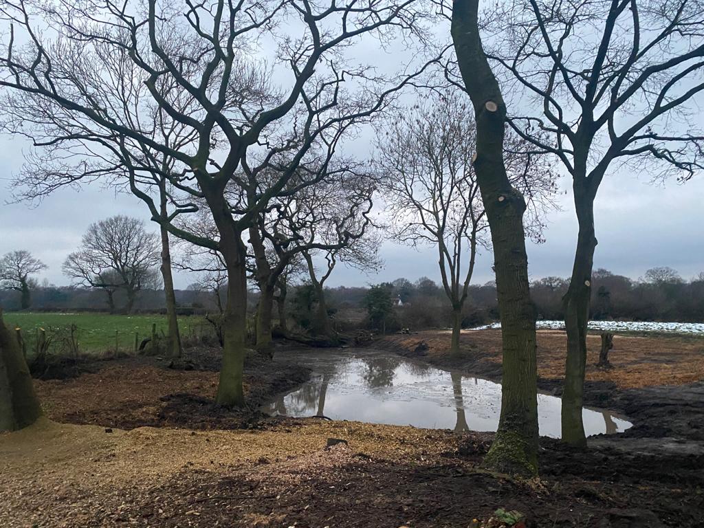 Estate Management Knutsford