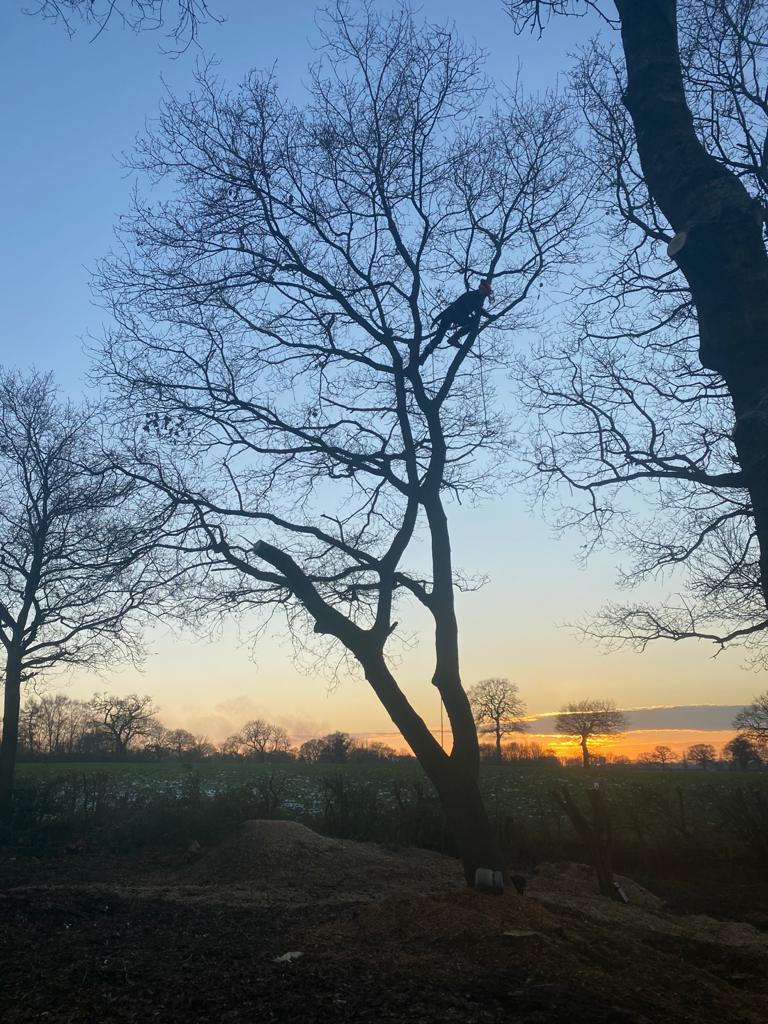 Estate Management in Knutsford