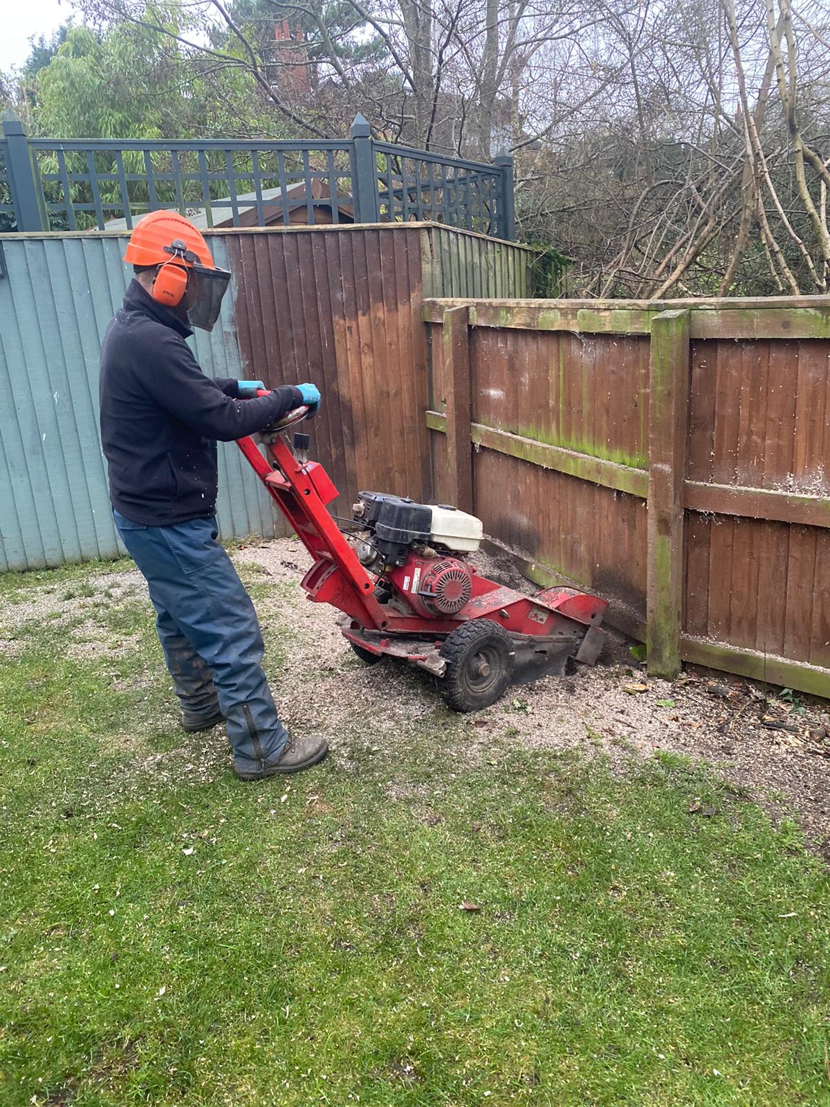 Tree Removal in Knutsford
