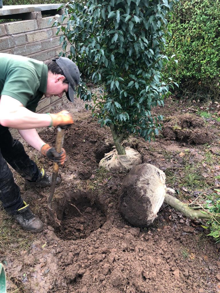Landscape Gardeners in Chelford