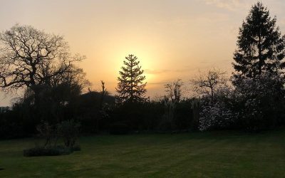 Lawn Maintenance Cheshire