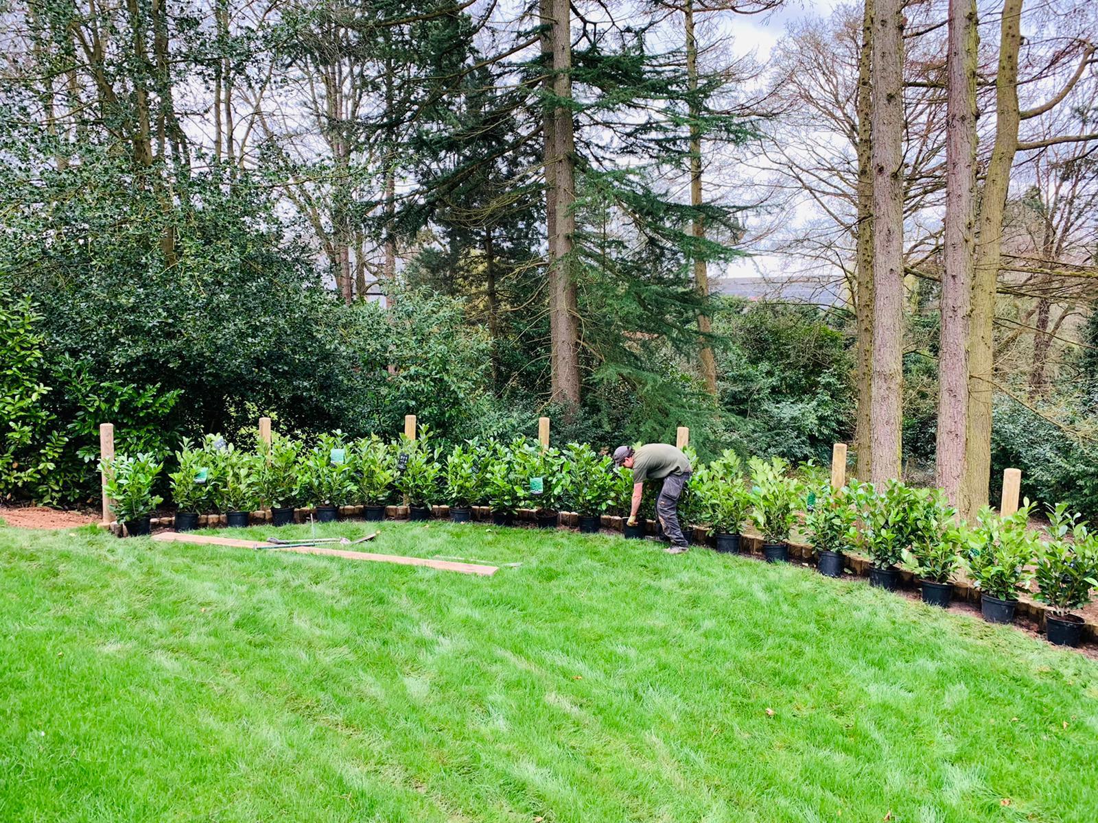 Turfing in Prestbury