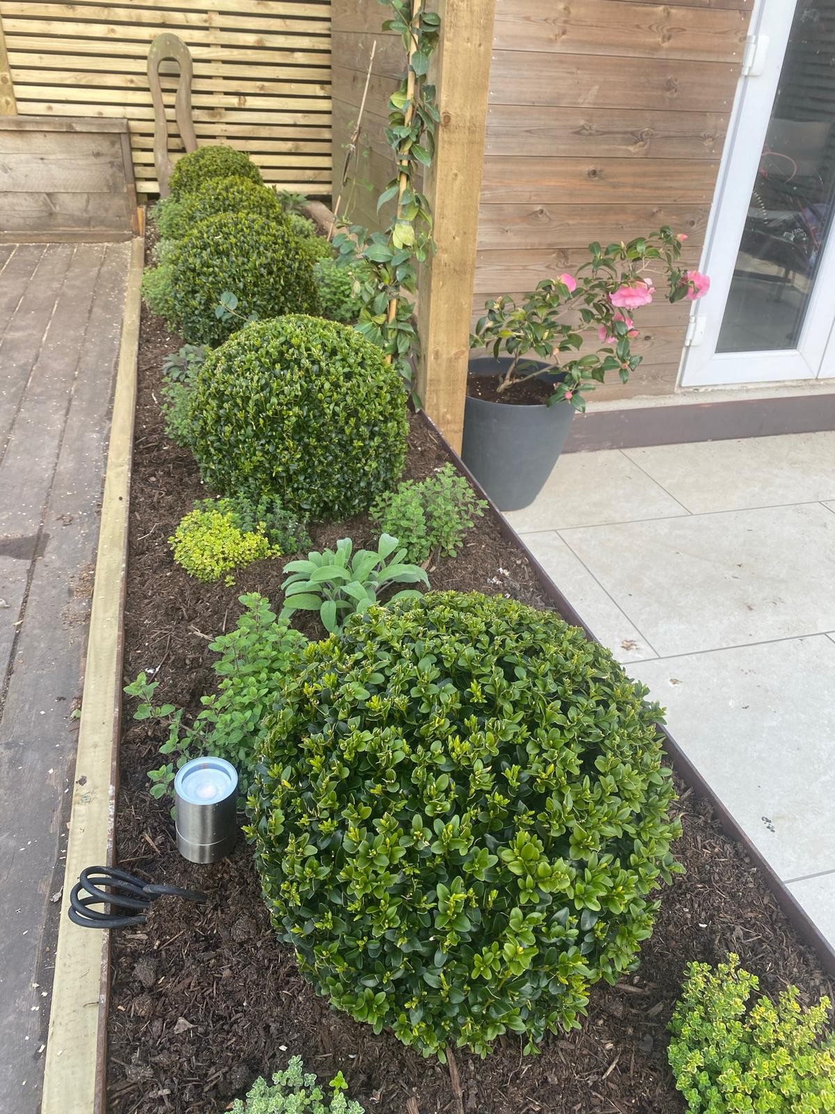 Landscape Designers Knutsford