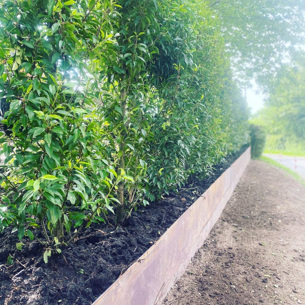 Landscape Design in Swettenham