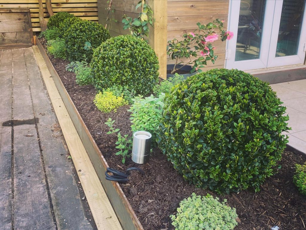 Garden Design Near Me