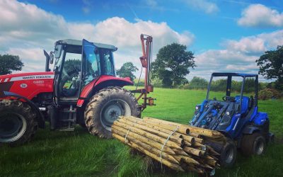 Estate Maintenance Near Me