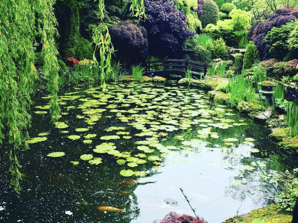 Garden Maintenance Northwich