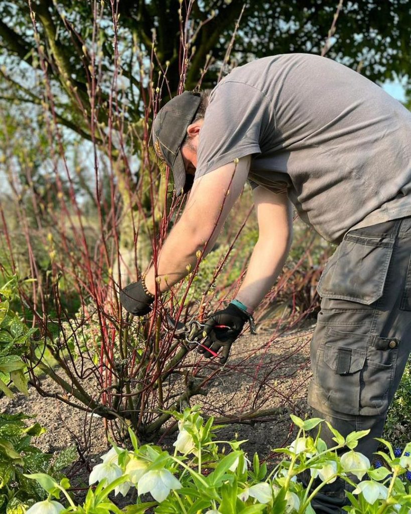 Garden Design Wilmslow