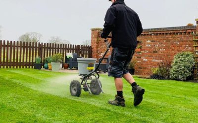Garden Maintenance Northwich