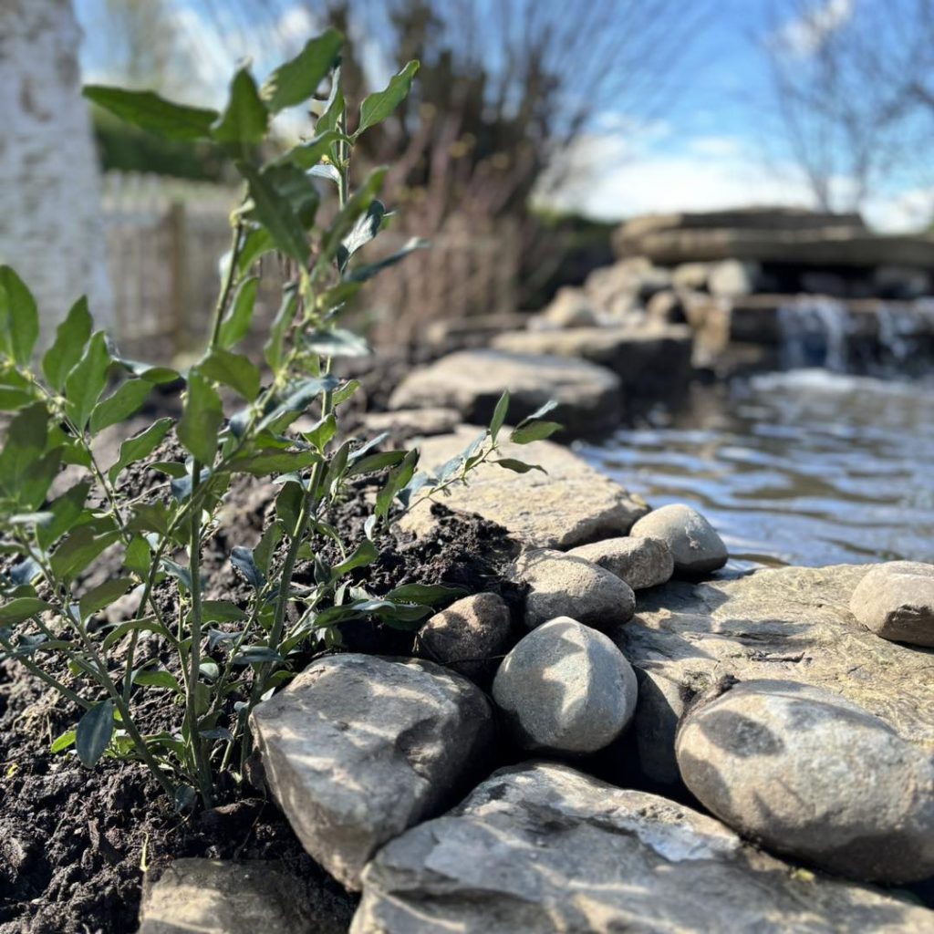 Garden Design Cheshire