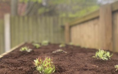 Landscape Design Macclesfield