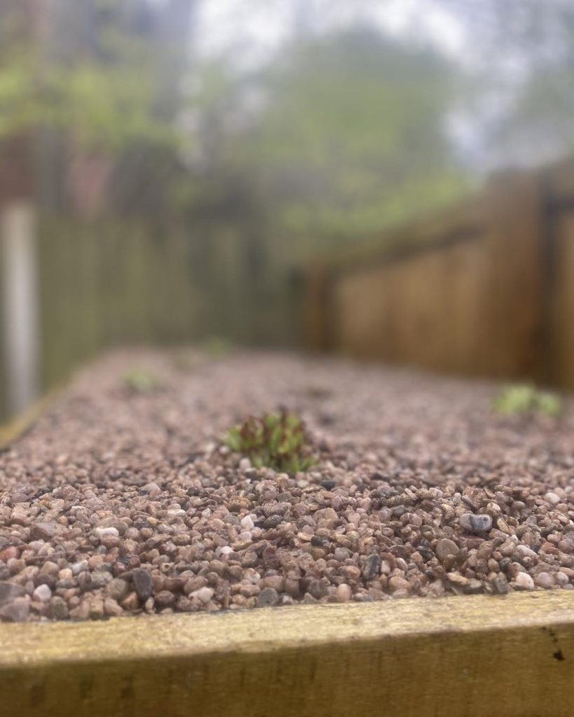 Landscape Design Knutsford