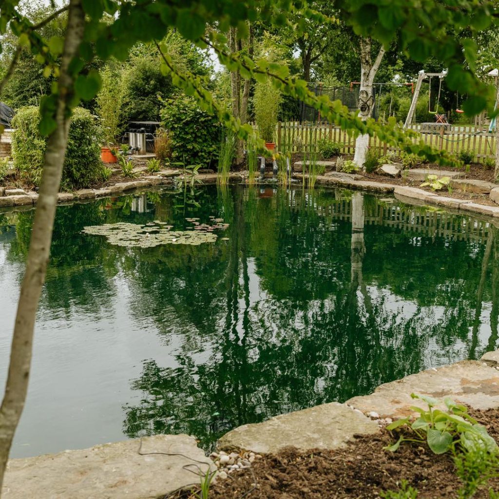 Pond Maintenance Wilmslow