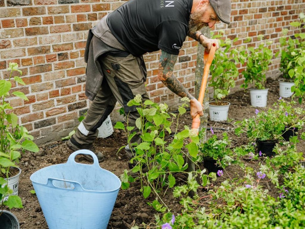 Cheshire Garden Designer